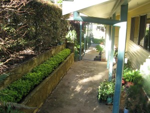 Front courtyard / breezeway – before