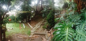 Lavender Bay – harbour-front garden – before
