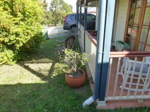 Springfield Lakes – small garden – before