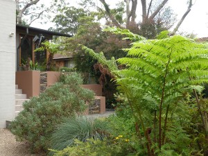 Ryde – sustainable house and garden
