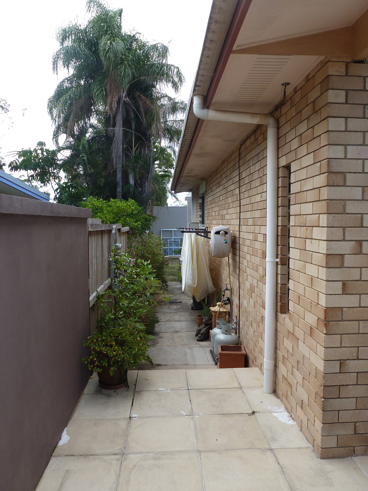 Moffat Beach garden – before