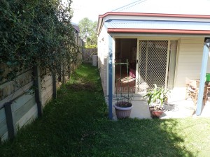 Springfield Lakes – small garden – before