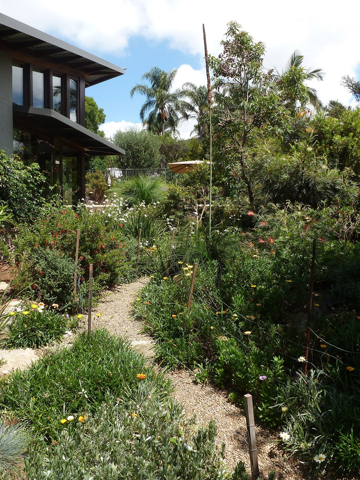 Ryde – sustainable house and garden