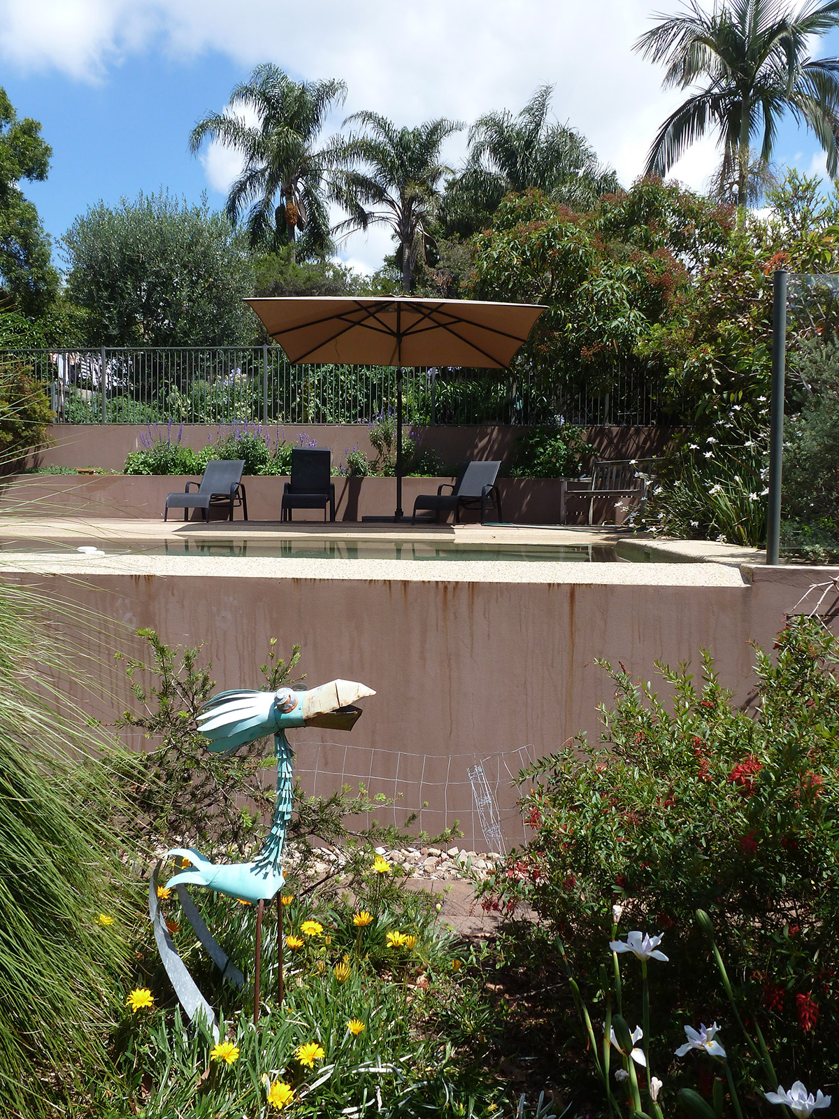 Ryde – sustainable house and garden