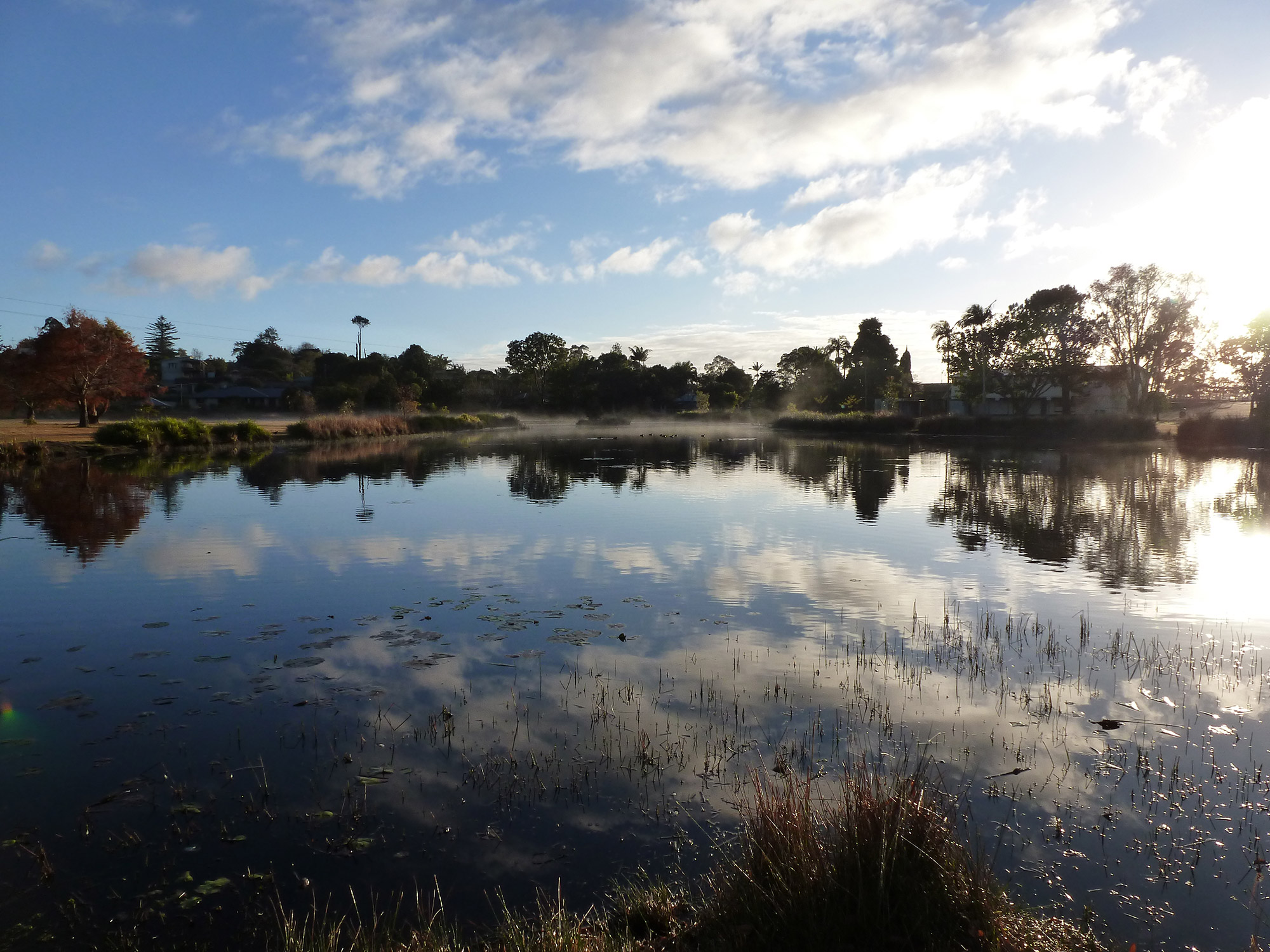 Environmental Protection