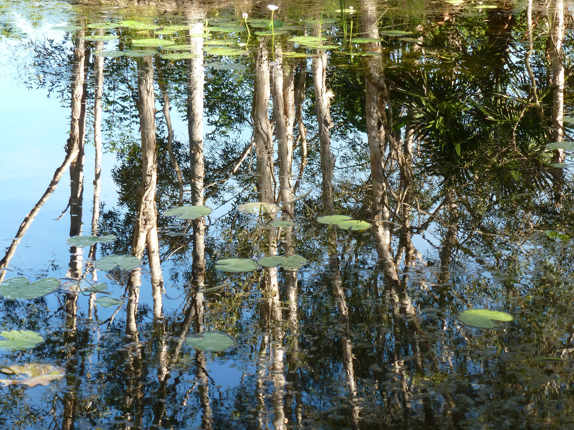 Environmental Protection