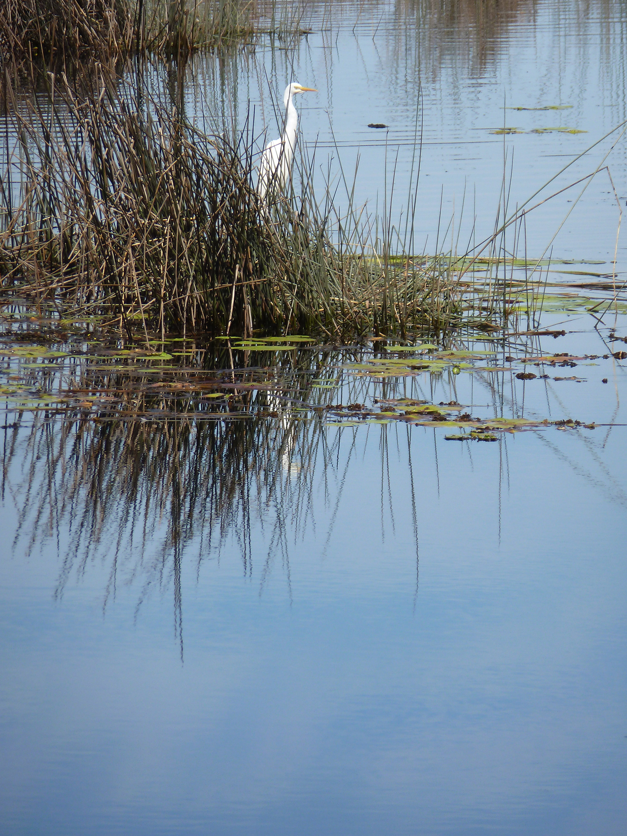 Environmental Protection