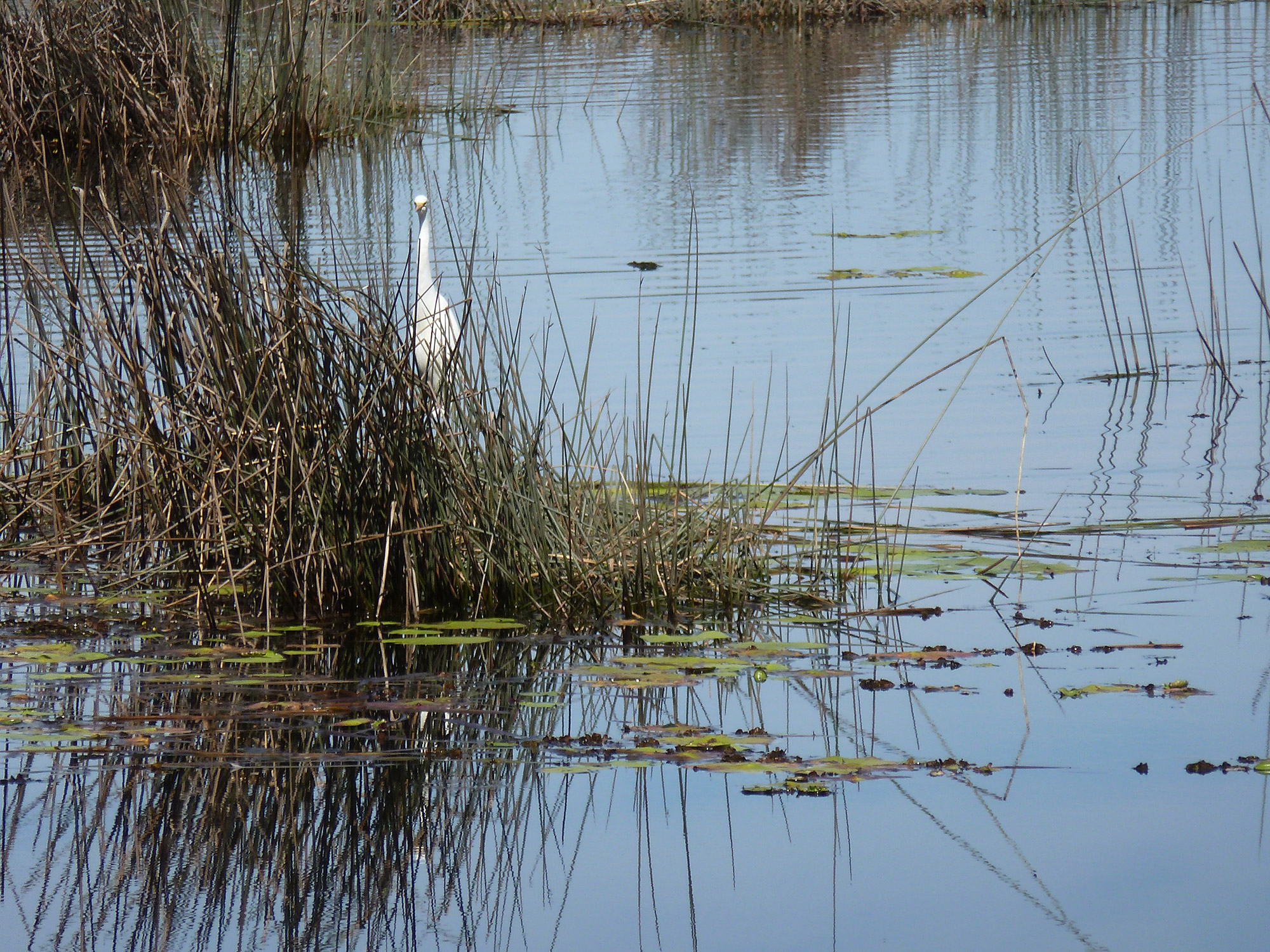 Environmental Protection