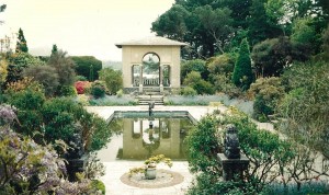 Landscape Design
