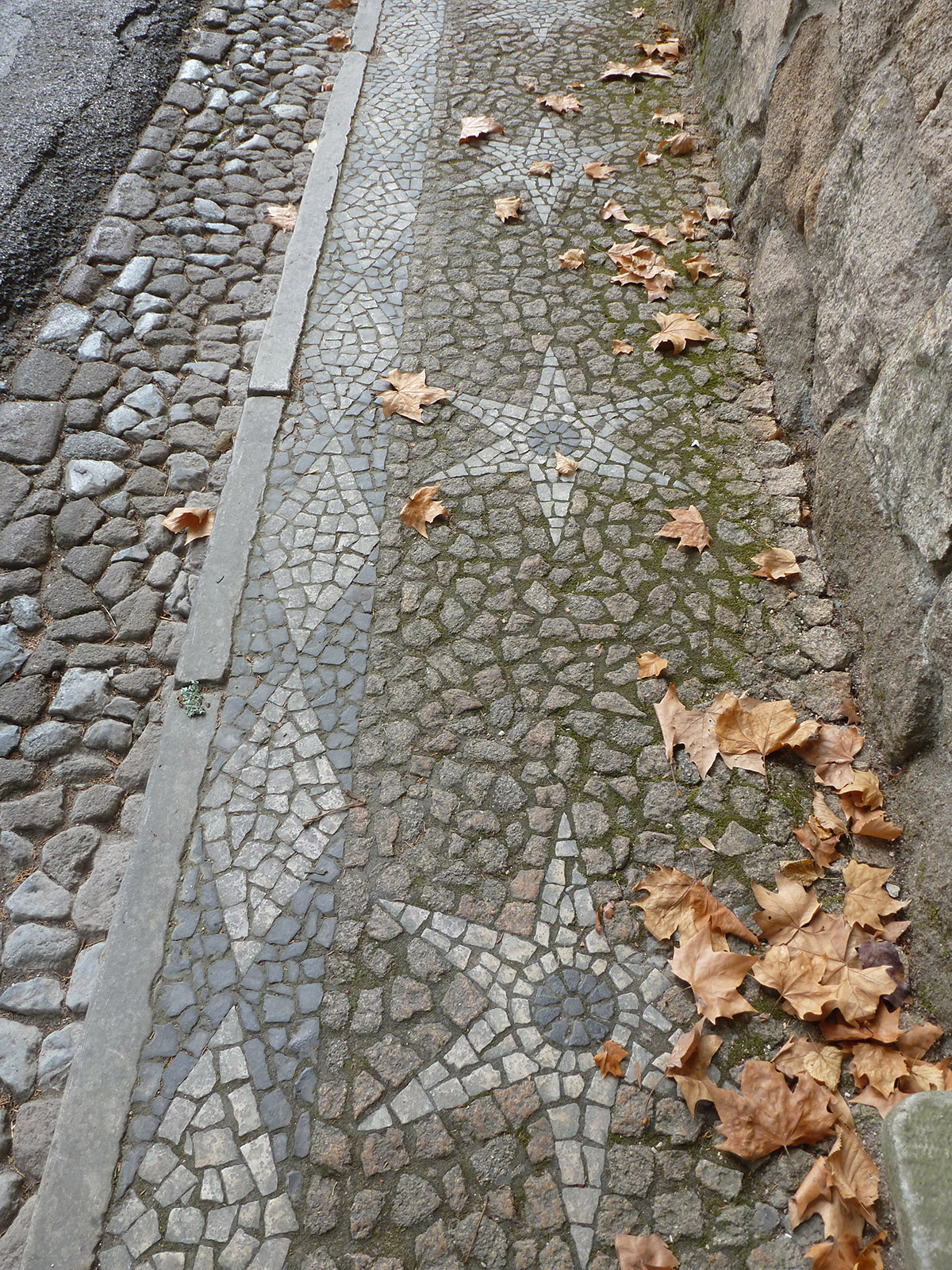 Landscape Design