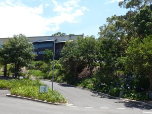 Mater Maria Catholic College