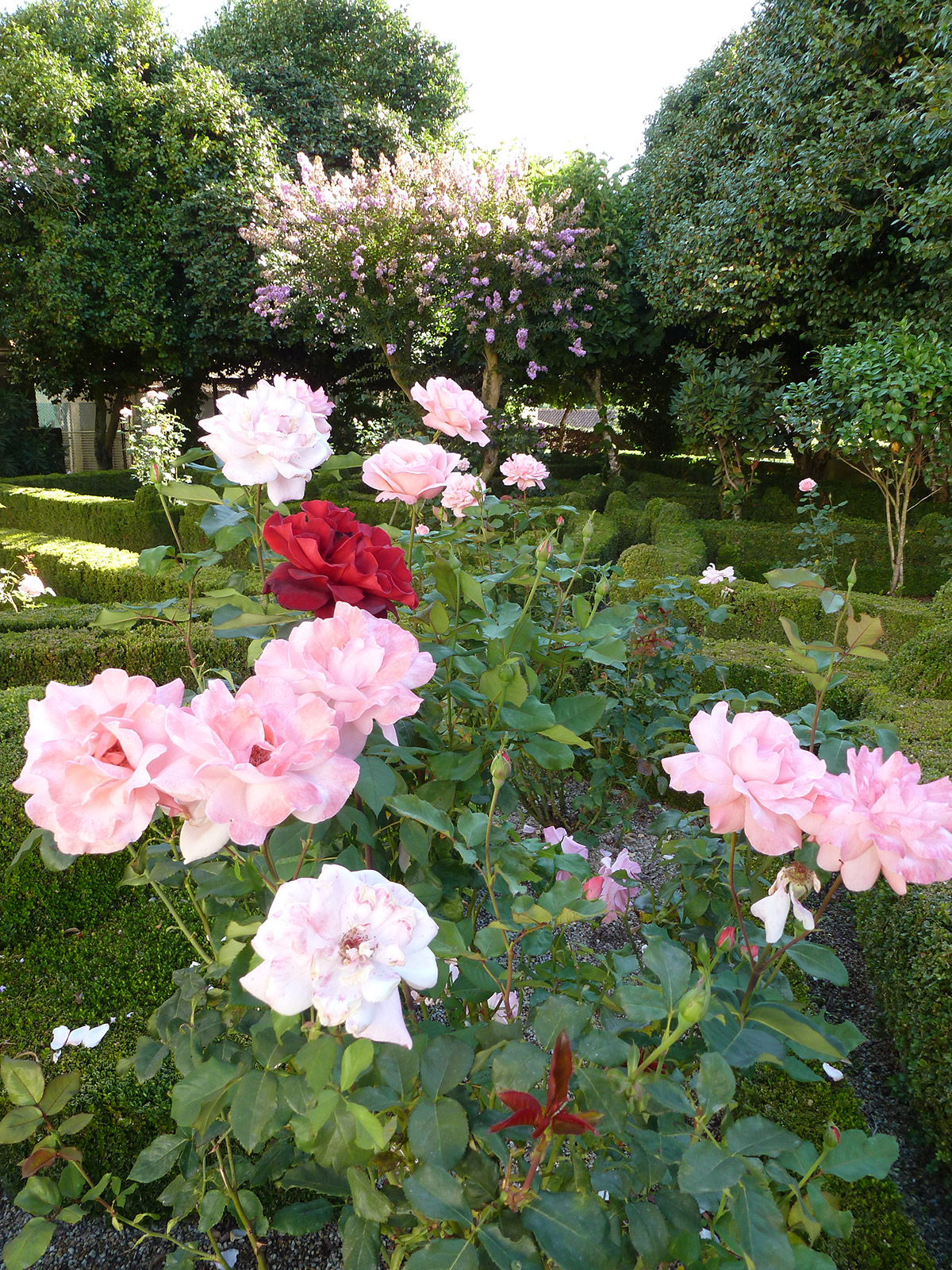 Landscape Design