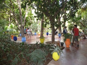 Landscape Design