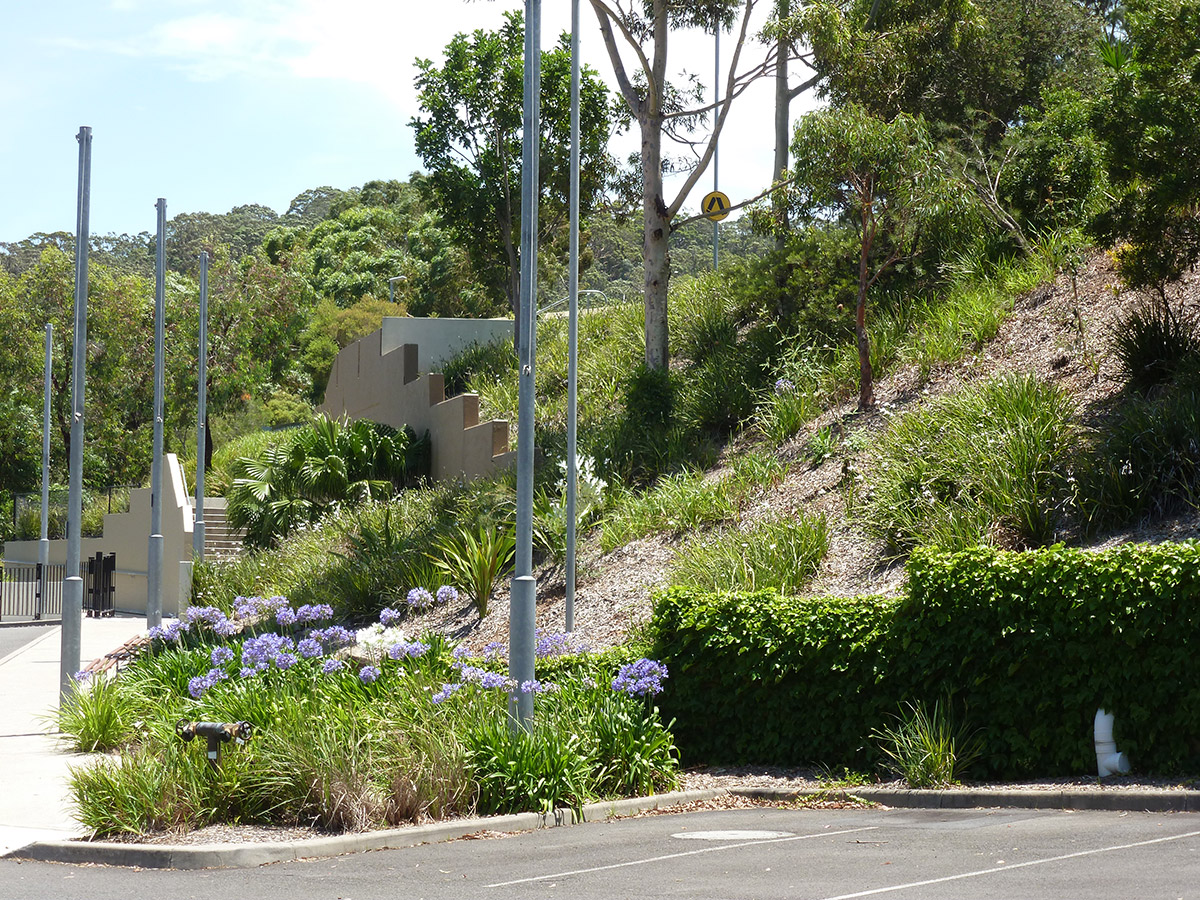 Mater Maria Catholic College