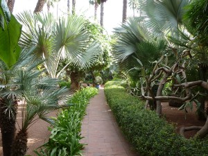 Landscape Design