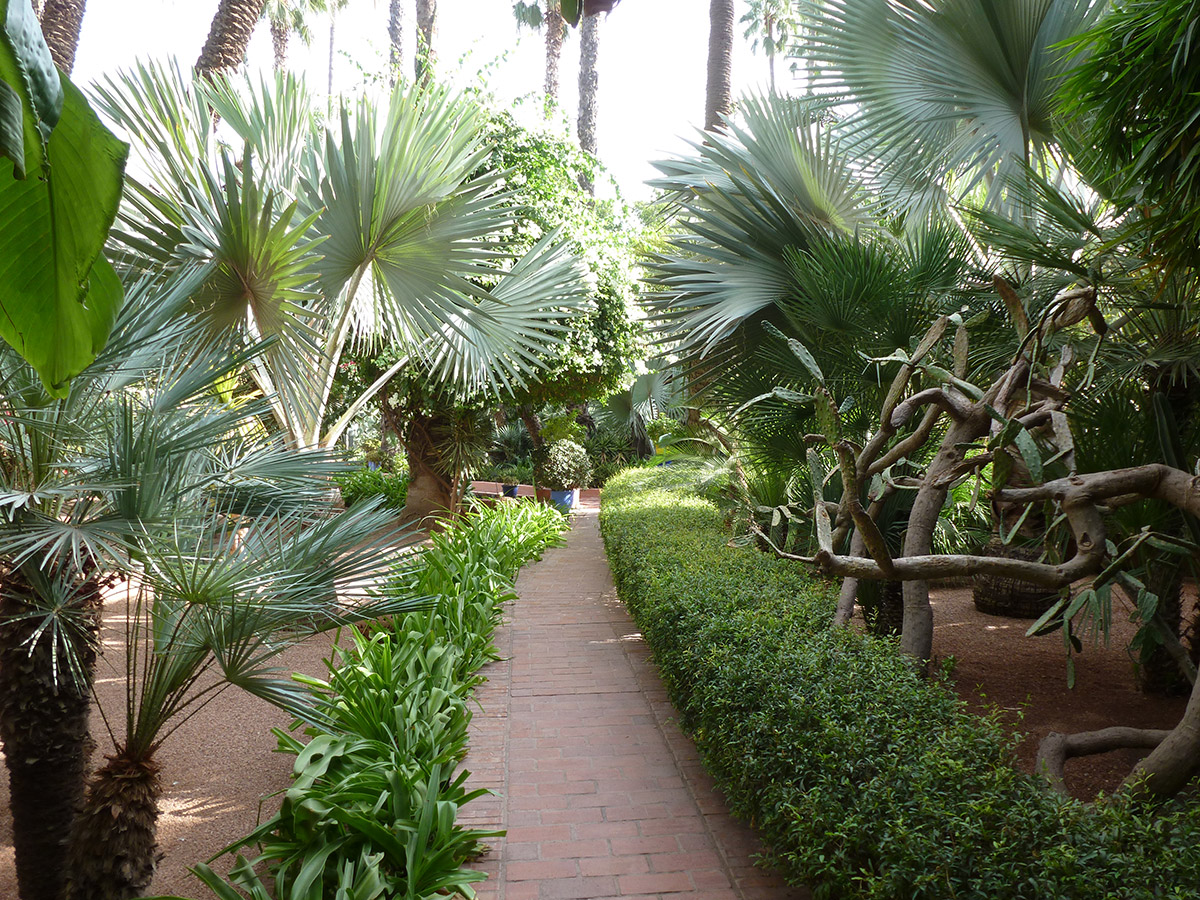 Landscape Design