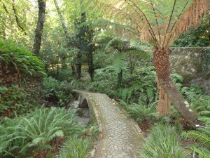 Landscape Design