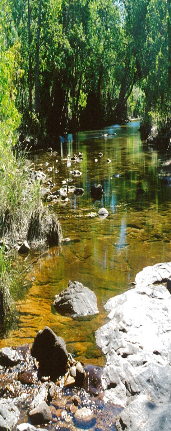 Environmental Protection