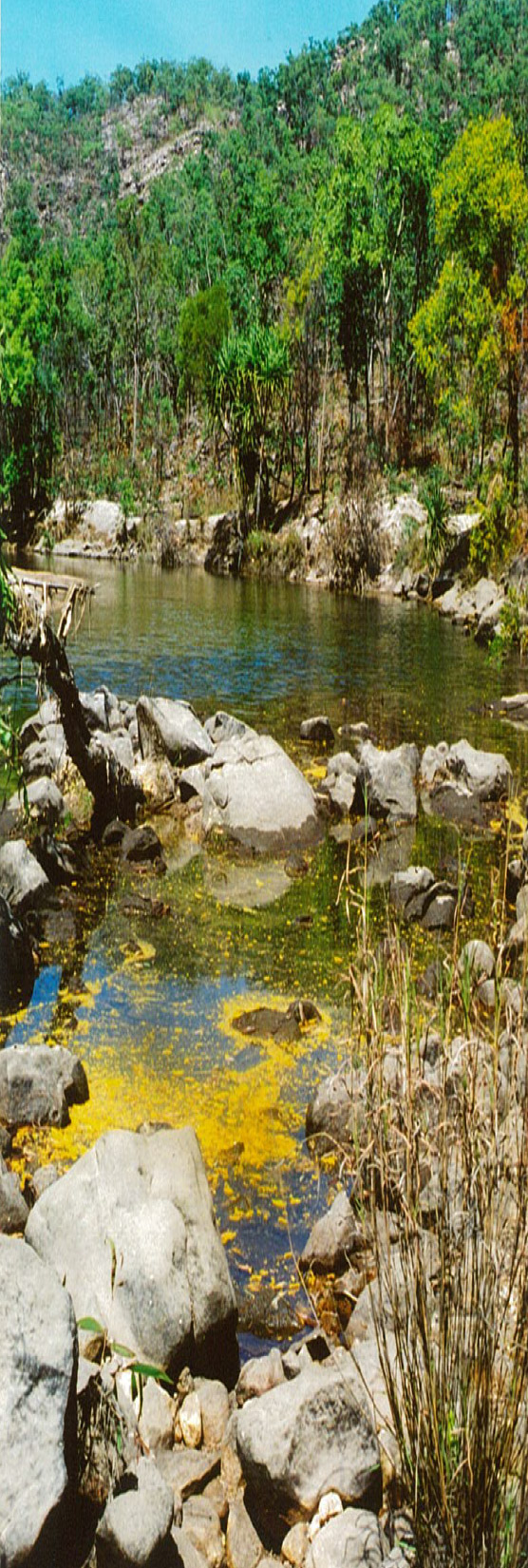 Environmental Protection