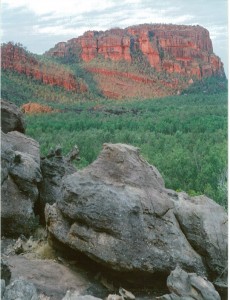 Environmental Protection