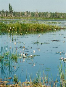 Environmental Protection