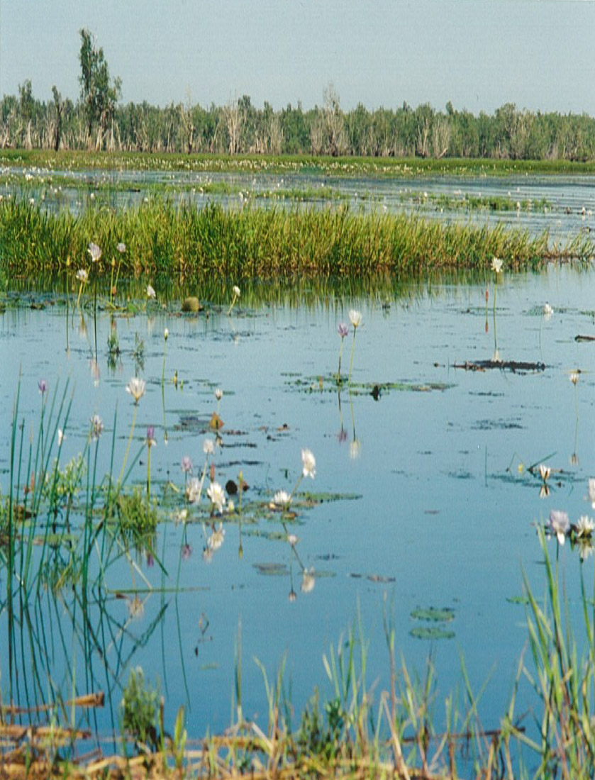 Environmental Protection