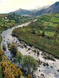 Environmental Protection